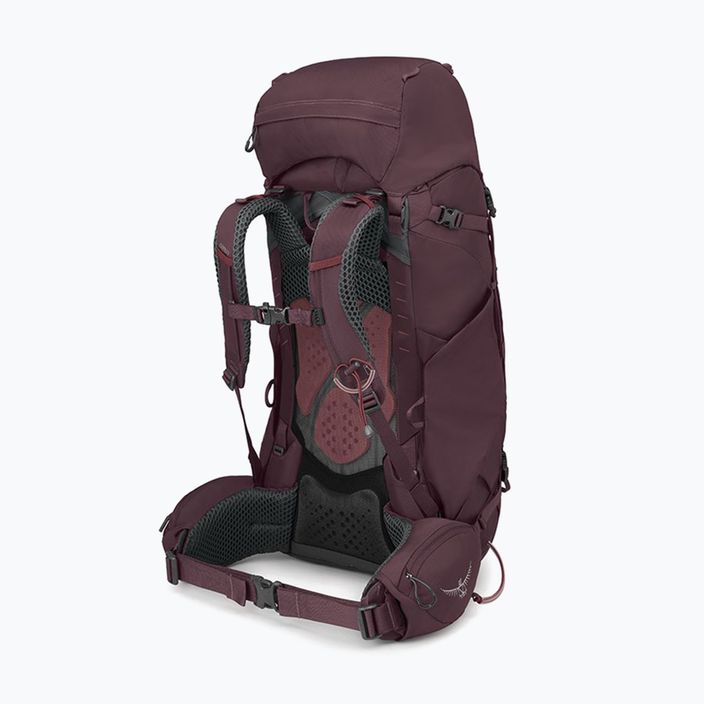 Women's trekking backpack Osprey Kyte 58 l elderberry purple 3