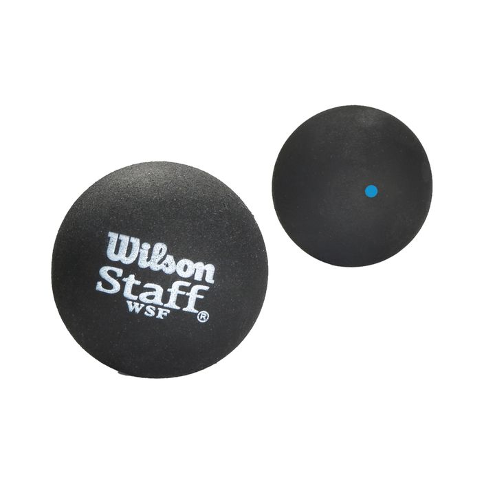 Wilson Staff Squash Ball Bl Dot 2 pcs black WRT617500+. 2