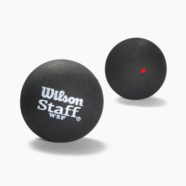 Wilson Staff Squash Balls Red Dot 2 pcs black WRT617700+ 2