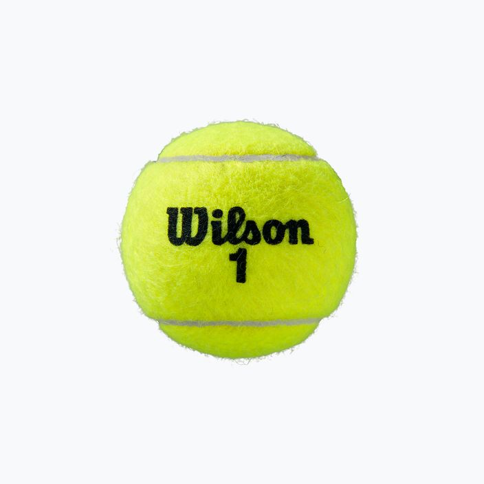 Wilson Roland Garros Clay Ct tennis balls 4 pcs yellow WRT115000 3
