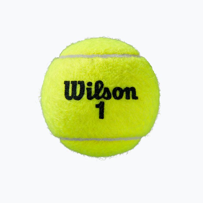 Wilson Roland Garros All Ct 4 Ball tennis balls 2Pk 8 pcs yellow WRT116402 4