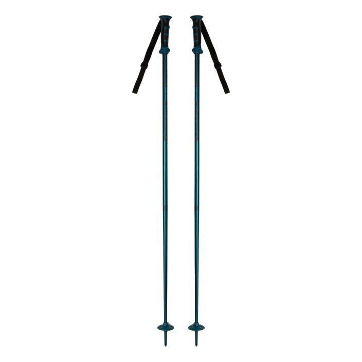 Salomon Arctic blue ski poles L40558800