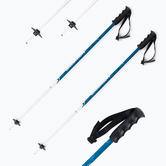 Salomon Brigade JR children's ski poles blue L40827900 6