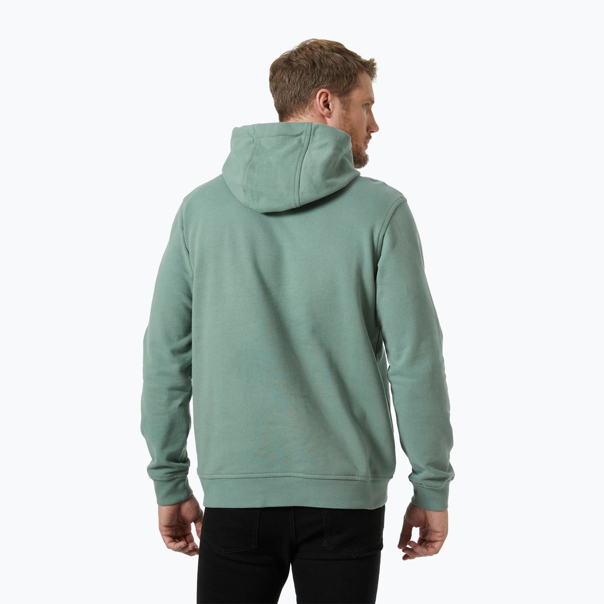 Men's Helly Hansen HH Logo Hoodie cactus 2