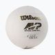 Wilson Castaway VB volleyball WTH4615XDEF size 5 2