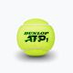 Dunlop ATP tennis balls 4 pcs yellow 601314 3