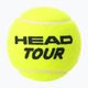 HEAD Tour tennis balls 4 pcs yellow 570704 2