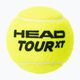 HEAD Tour XT tennis balls 4 pcs yellow 570824 2