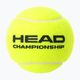 HEAD Championship tennis balls 4 pcs yellow 575204 2