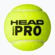 HEAD Pro paddle balls 3 pcs yellow 575613 2