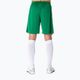 Men's Joma Nobel football shorts green 100053 7