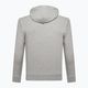 Men's GAP XLS FT Arch FZ HD sweatshirt b10 grey heather 3