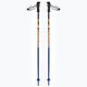 Salomon Kaloo Jr children's ski poles blue L41174600