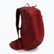 Salomon Trailblazer 20 l hiking backpack red LC1520300 3