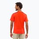 Men's Salomon Outline SS trekking t-shirt red LC1715200 2