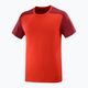 Men's Salomon Essential Colorbloc trekking shirt red LC1716000