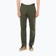 Men's Salomon Wayfarer Zip Off trekking trousers green LC1741100