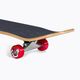 Classic skateboard Santa Cruz Classic Dot Mid 7.8 green 118731 7