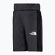 The North Face Surgent grey children's hiking shorts NF0A7QZO0C51 3