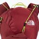 Women's hiking backpack The North Face Chimera 24 l red NF0A3GA34J61 5