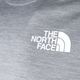 Men's trekking t-shirt The North Face Ma grey NF0A5IEUGAU1 9