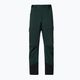Men's Oakley Axis Insulated green snowboard trousers FOA403446 8