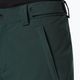 Men's Oakley Axis Insulated green snowboard trousers FOA403446 4