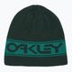 Oakley TNP Reversible cap green FOS901066 4