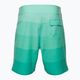 Men's Oakley Retro Mark 19" swim shorts green FOA4043047GR 2