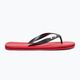 Oakley men's Catalina Flip Flop red FOF100423465 8