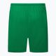 Men's Nike Dry-Fit Park III football shorts green BV6855-302 2