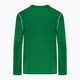 Nike Dri-FIT Park 20 Crew pine green/white children's football sweatshirt 2