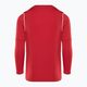 Nike Dri-FIT Park 20 Crew university red/white/white children's football sweatshirt 2