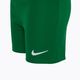 Nike Dri-FIT Park Little Kids football set pine green/pine green/white 5