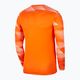 Men's Nike Dri-Fit Park IV football sweatshirt orange CJ6066-819 2