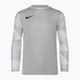 Nike Dri-FIT Park IV Children's Goalkeeper T-shirt pewter grey/white/black