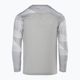 Nike Dri-FIT Park IV Children's Goalkeeper T-shirt pewter grey/white/black 2