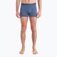 Men's thermal boxer shorts icebreaker Anatomica Cool-Lite dawn 3