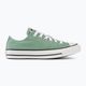 Converse Chuck Taylor All Star Classic Ox herby trainers 2