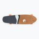 Globe Big Blazer brown-blue longboard skateboard 10525195_TEAKOCNS 4