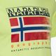 Men's Napapijri S-Kreis yellow sunny t-shirt 3