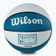 Wilson NBA Team Retro Mini Charlotte Hornets basketball WTB3200XBCHA size 3 6