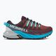 Merrell Agility Peak 4 women's running shoes burgundy-blue J067546 2