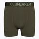 Men's thermal boxer shorts icebreaker Anatomica Loden 103029