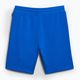 Men's Napapijri Nalis Sum blue lapis shorts 7