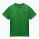 Men's Napapijri S-Linth green kelly t-shirt 5