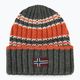 Men's winter cap Napapijri F-Areuse green urban