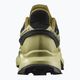 Salomon Supercross 4 GTX men's running shoes black/green L41731700 9