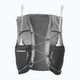 Women's running backpack Salomon ADV Skin 12W set grey LC2077300