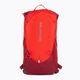 Salomon Trailblazer 10 l hiking backpack Aura Orange/Biking Red LC2059500